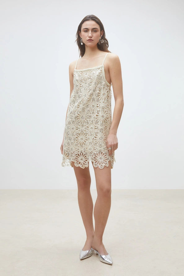 Chelby Crochet and Sequin Dress