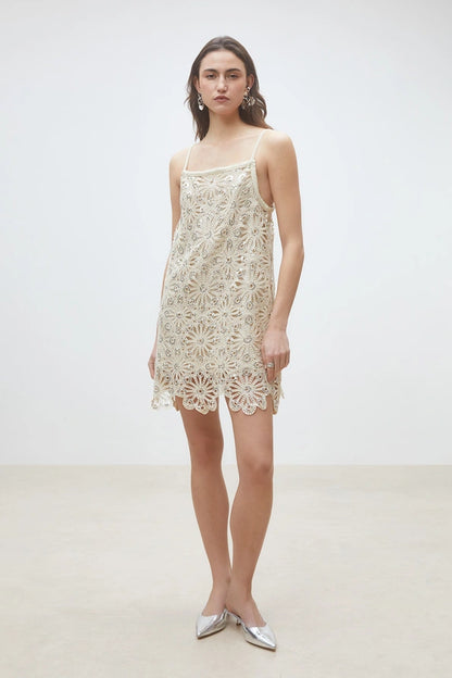 Chelby Crochet and Sequin Dress