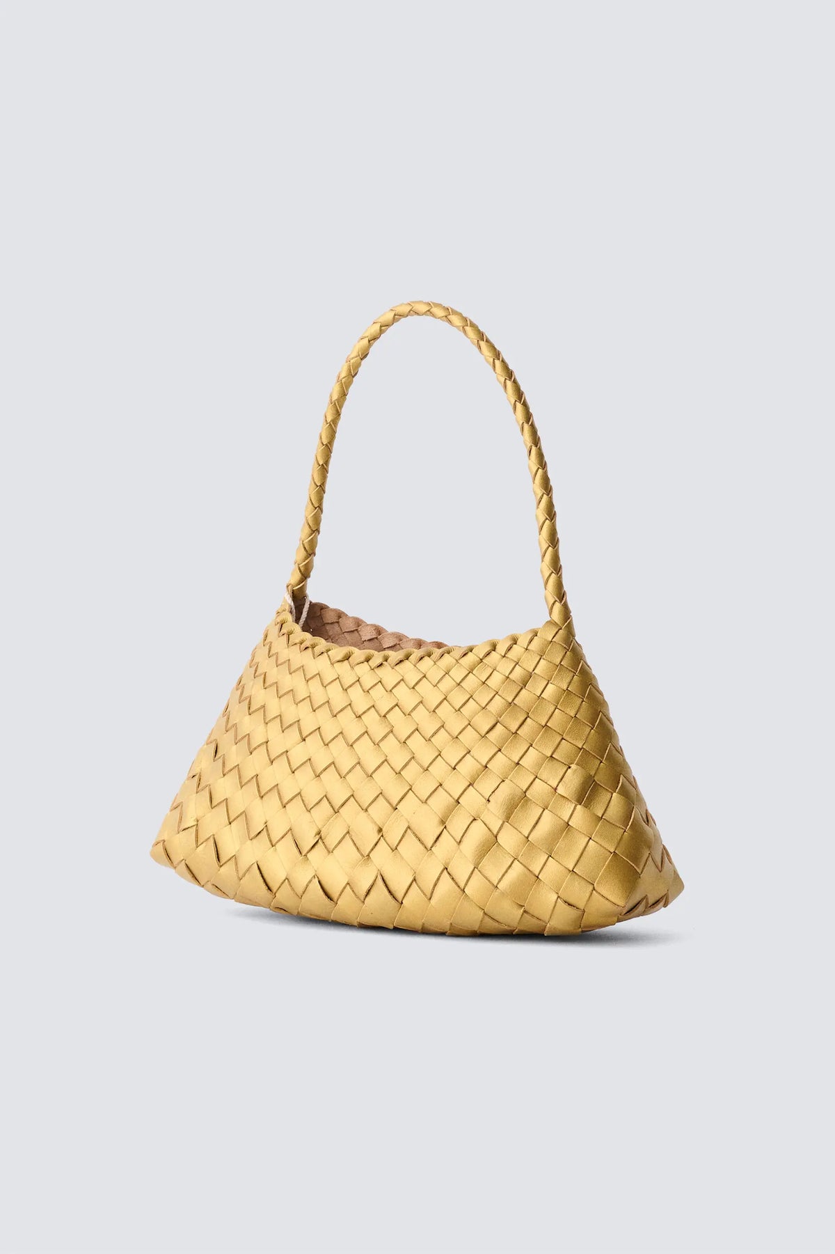 Dragon Diffusion Rosanna Bag